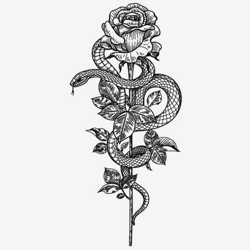 Il serpente della rosa